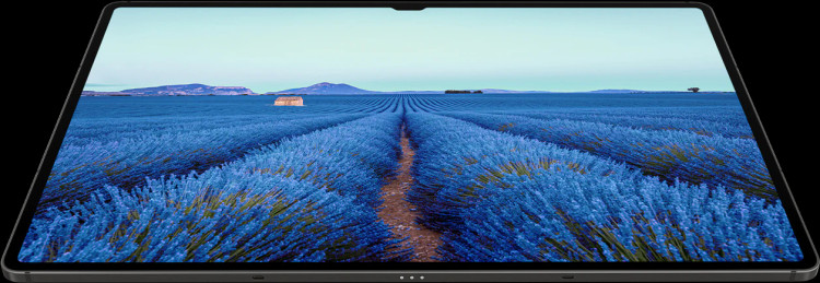 تبلت 14.6 اینچی سامسونگ Galaxy Tab S9 Ultra (بدون سیمکارت / وای فای) با حافظه 1 ترابایت و رم 16 گیگابایت - با گارانتی