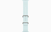 ساعت هوشمند اپل Apple Watch Ultra 2 (49mm) با بند اوشن (Ocean Band) - با گارانتی