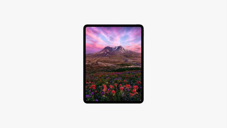 تبلت اپل iPad Pro 2025 M5 11 inch با حافظه 512 گیگابایت و رم 12 گیگابایت - با گارانتی