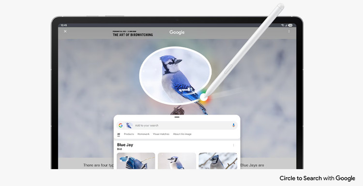 قابلیت Circle to Search با قلم S Pen در Galaxy Tab S10 FE 5G